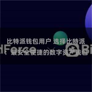 比特派钱包用户 选择比特派：最安全便捷的数字资产钱包