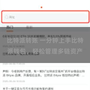 比特派转账 一分钟上手比特派钱包，轻松管理多链资产
