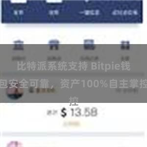 比特派系统支持 Bitpie钱包安全可靠，资产100%自主掌控