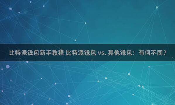 比特派钱包新手教程 比特派钱包 vs. 其他钱包：有何不同？