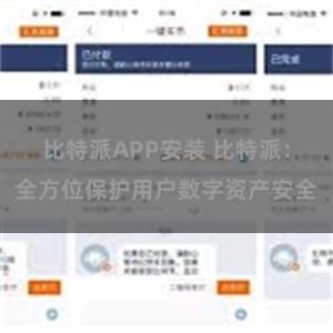 比特派APP安装 比特派：全方位保护用户数字资产安全