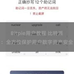 Bitpie用户教程 比特派：全方位保护用户数字资产安全