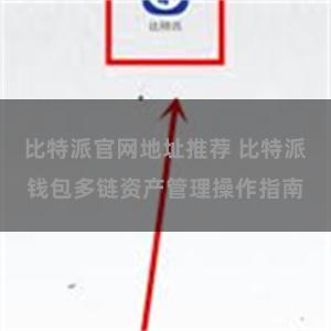 比特派官网地址推荐 比特派钱包多链资产管理操作指南