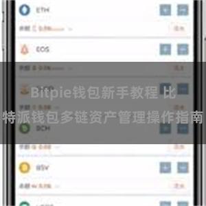 Bitpie钱包新手教程 比特派钱包多链资产管理操作指南