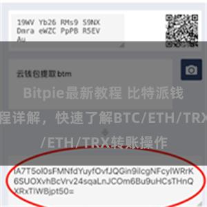 Bitpie最新教程 比特派钱包转账教程详解，快速了解BTC/ETH/TRX转账操作