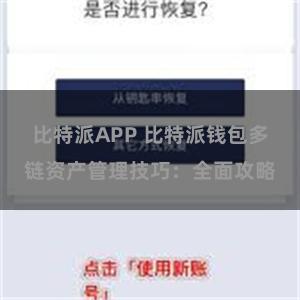 比特派APP 比特派钱包多链资产管理技巧：全面攻略