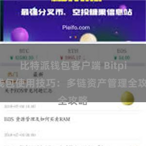 比特派钱包客户端 Bitpie钱包使用技巧：多链资产管理全攻略