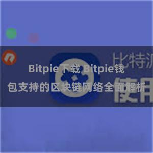 Bitpie下载 Bitpie钱包支持的区块链网络全面解析