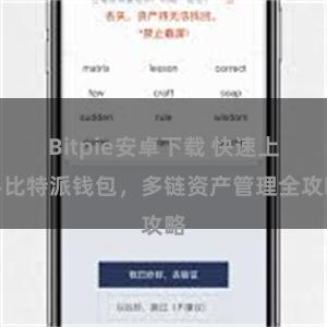 Bitpie安卓下载 快速上手比特派钱包，多链资产管理全攻略