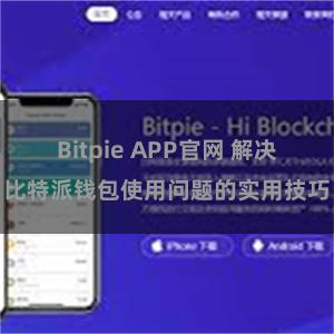 Bitpie APP官网 解决比特派钱包使用问题的实用技巧