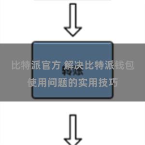 比特派官方 解决比特派钱包使用问题的实用技巧