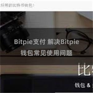 Bitpie支付 解决Bitpie钱包常见使用问题