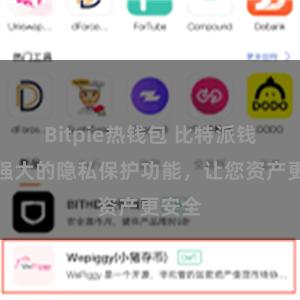 Bitpie热钱包 比特派钱包：强大的隐私保护功能，让您资产更安全