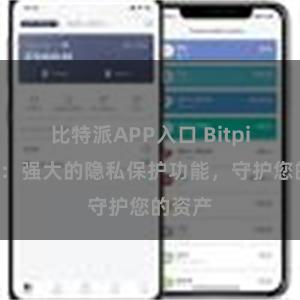 比特派APP入口 Bitpie钱包：强大的隐私保护功能，守护您的资产