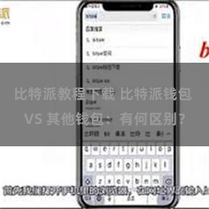 比特派教程下载 比特派钱包 VS 其他钱包：有何区别？