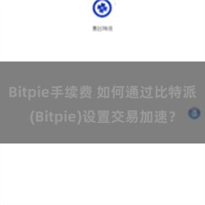 Bitpie手续费 如何通过比特派(Bitpie)设置交易加速？