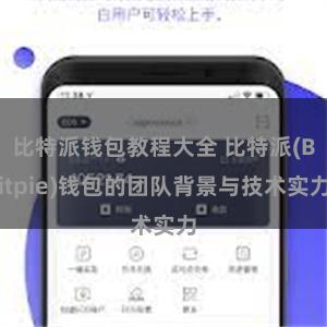 比特派钱包教程大全 比特派(Bitpie)钱包的团队背景与技术实力