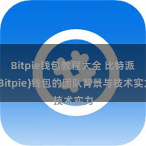 Bitpie钱包教程大全 比特派(Bitpie)钱包的团队背景与技术实力