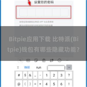 Bitpie应用下载 比特派(Bitpie)钱包有哪些隐藏功能？