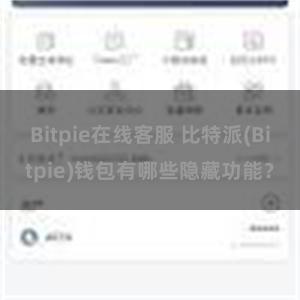 Bitpie在线客服 比特派(Bitpie)钱包有哪些隐藏功能？