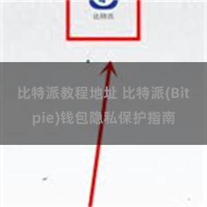 比特派教程地址 比特派(Bitpie)钱包隐私保护指南