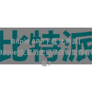 Bitpie APP下载 比特派(Bitpie)交易历史记录在哪里查看？