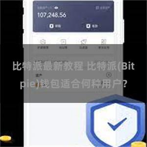 比特派最新教程 比特派(Bitpie)钱包适合何种用户？