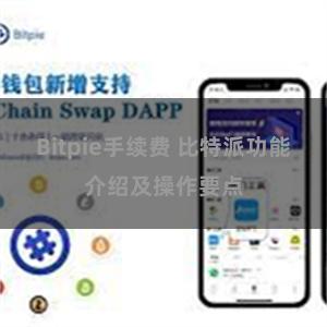 Bitpie手续费 比特派功能介绍及操作要点