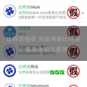 比特派推荐 深度揭秘比特派：亲身体验与感受