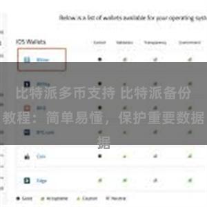 比特派多币支持 比特派备份教程：简单易懂，保护重要数据
