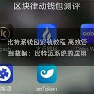 比特派钱包安装教程 高效管理数据：比特派系统的应用