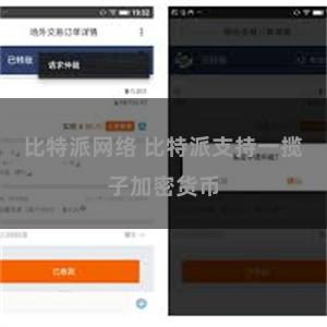 比特派网络 比特派支持一揽子加密货币