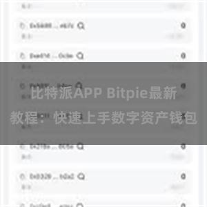 比特派APP Bitpie最新教程：快速上手数字资产钱包