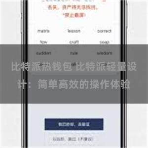 比特派热钱包 比特派轻量设计：简单高效的操作体验