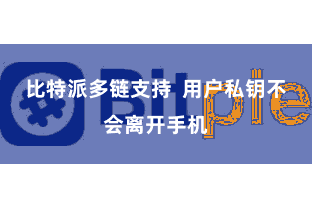 比特派多链支持  用户私钥不会离开手机