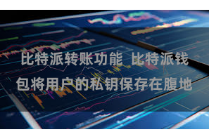 比特派转账功能  比特派钱包将用户的私钥保存在腹地