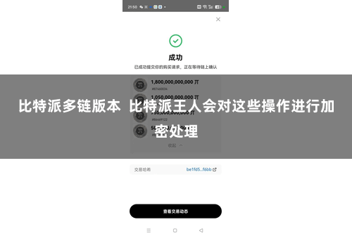 比特派多链版本  比特派王人会对这些操作进行加密处理